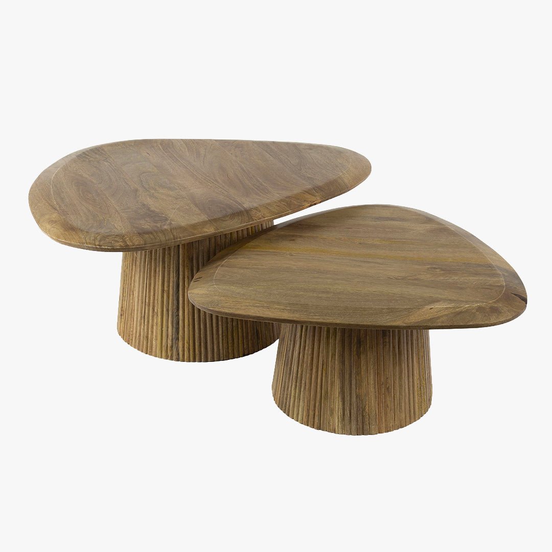 ALEA Lot de 2 tables basses en bois de manguier massif - Table basse - Mobilier Deco